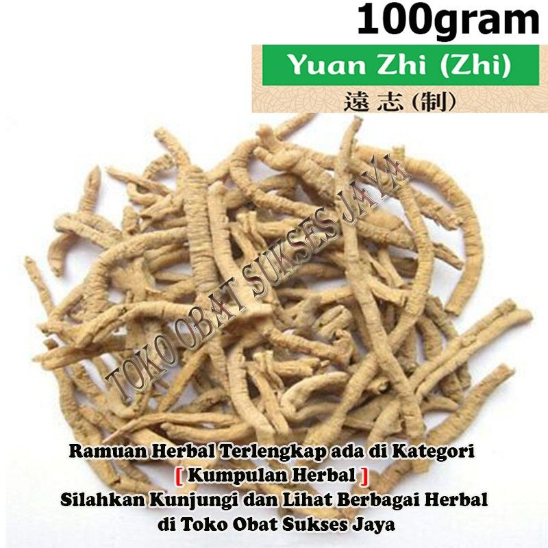 yuan Zhi 100 gram