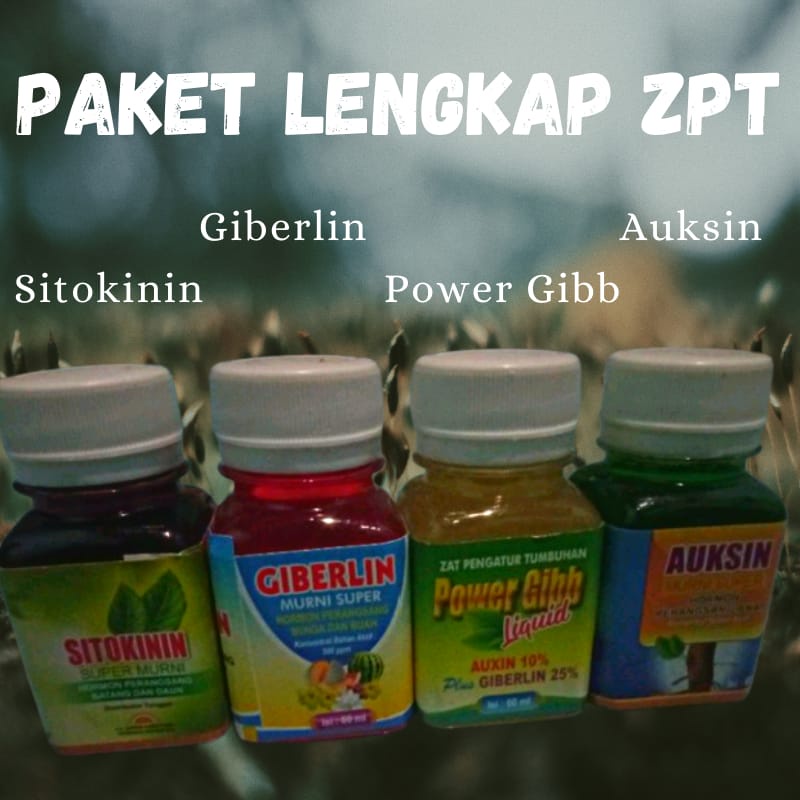Paket ZPT GIBERELIN AUKSIN SITOKININ POWER GIB