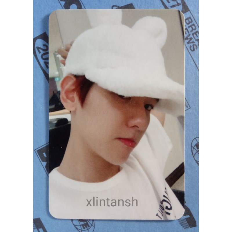 EXO Baekhyun Photocard Bunny