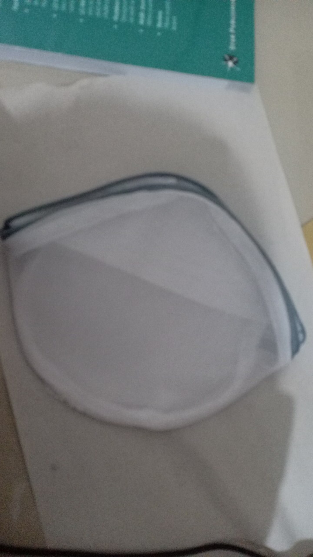 Laundry Bra Bag Segi