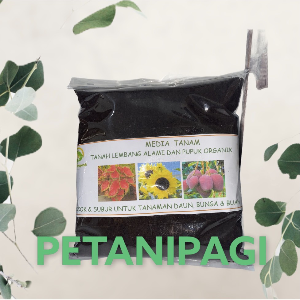 Media Tanam Tanah Lembang dan pupuk organik
