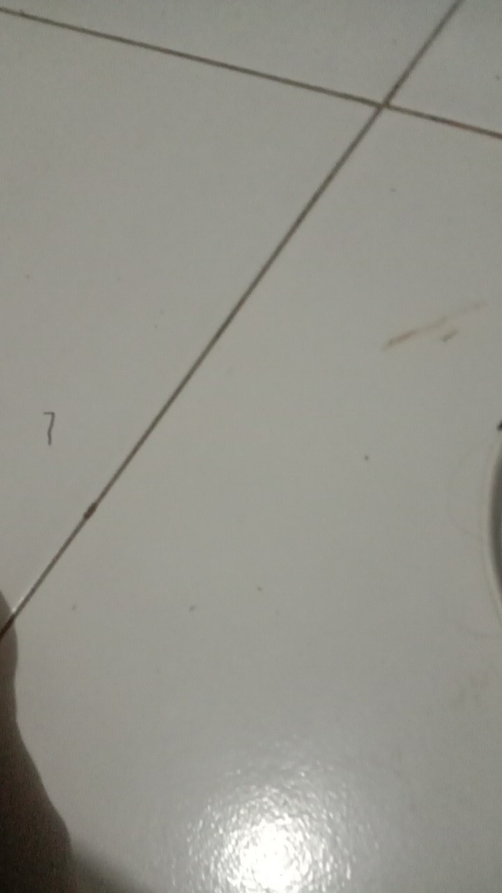 Masker Kain Kakashi 2 Layer Kantong Tisue