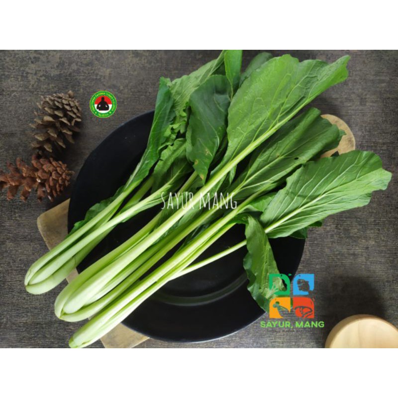 

Sawi Hijau Sosin I Sayur Mang