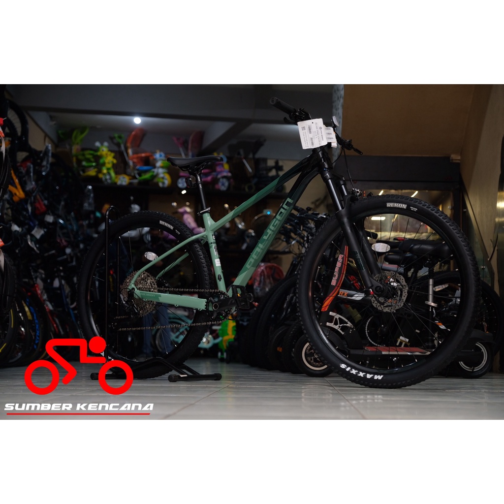 MTB POLYGON XTRADA 6.0