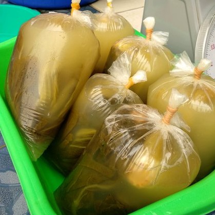 

Sawi Asin Original Sayuran Asin Murah