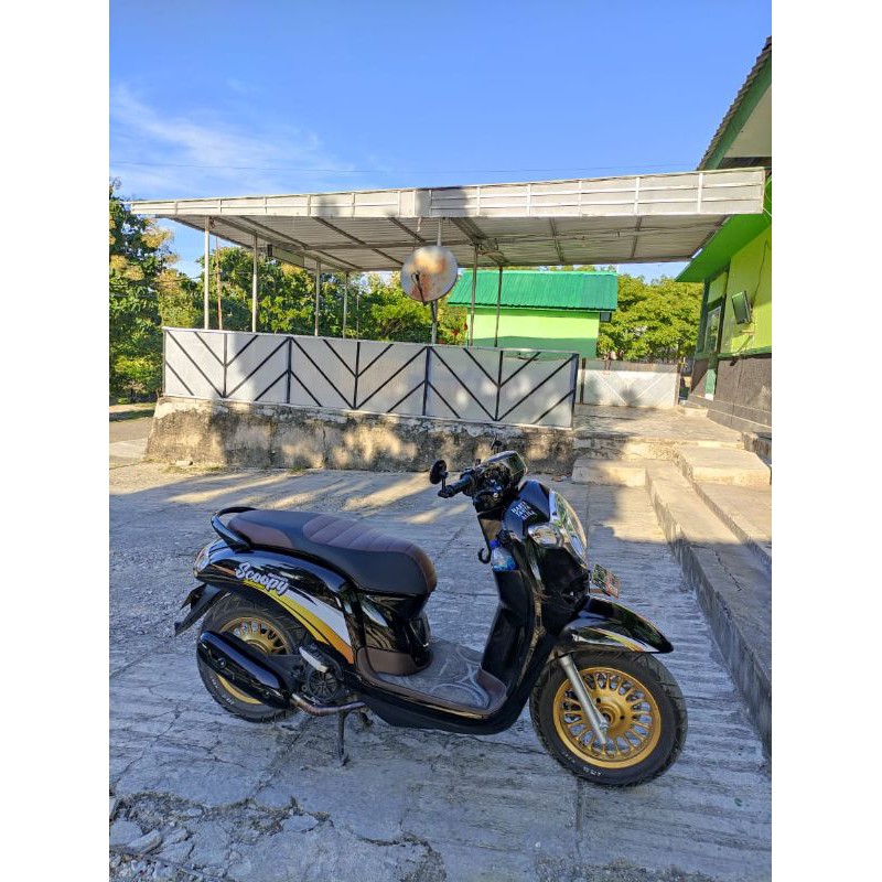 striping scoopy new list gold transfaran