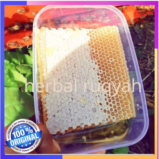 

500 grm Madu sarang mellifera