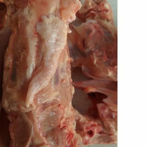 

Tulang Krongkongan Ayam