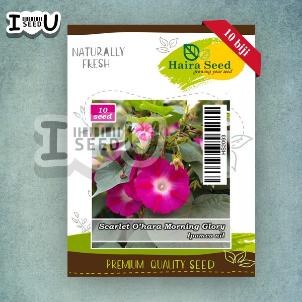 Haira Seed Bibit-Biji Bunga Morning Glory Scarlet O'hara