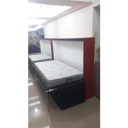 wall bed horizontal + sofa