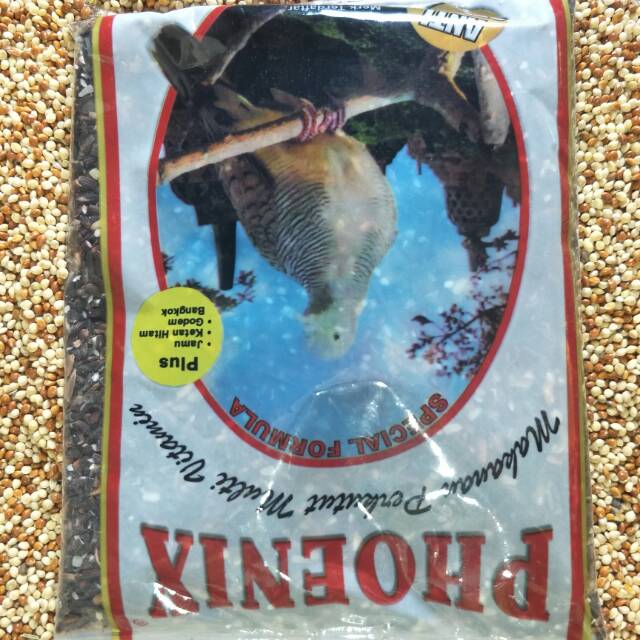 Phoenix ketam hitam perkutut/phoenix kutut hitam/phienix kutut ketan hitam/