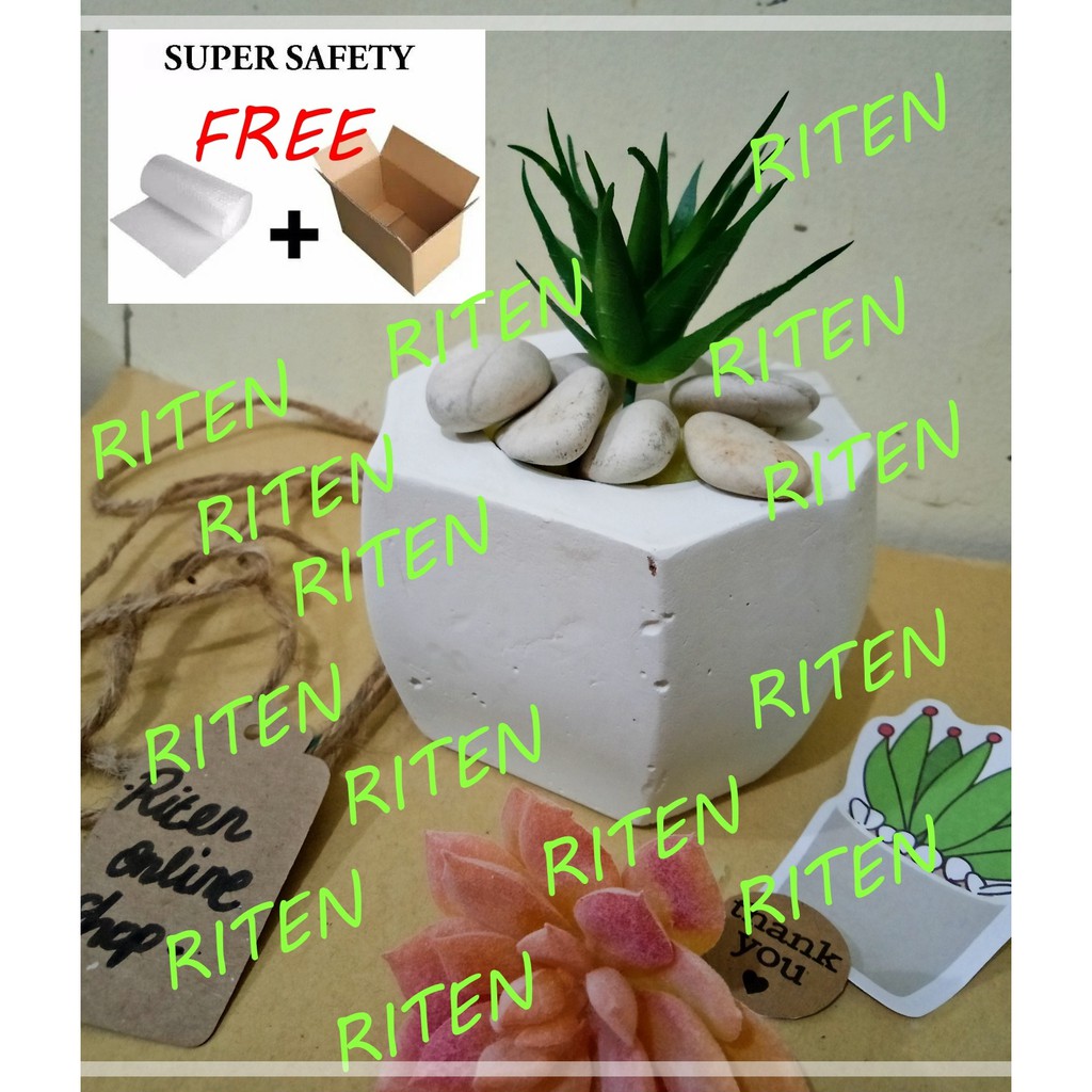 POT SEMEN MURAH, POT KAKTUS SUKULEN, CEMENT POT,CONCRETE PLANER UKURAN SEDANG SEGI 5