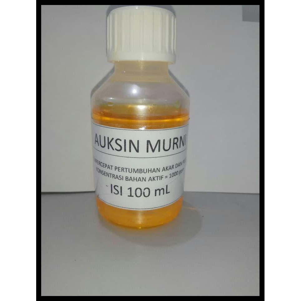 DISKON HORMON TANAMAN AUKSIN