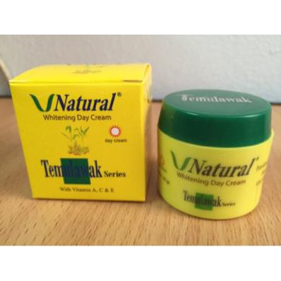 V Natural Day Cream Temulawak BPOM Original