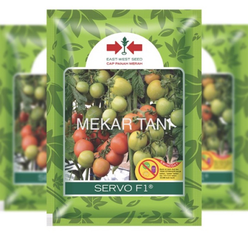 Benih tomat Servo F1