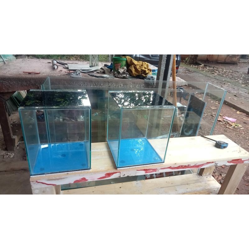 aquarium channa tutup  25x25x30 aquarium kaca tutup  akuarium chana