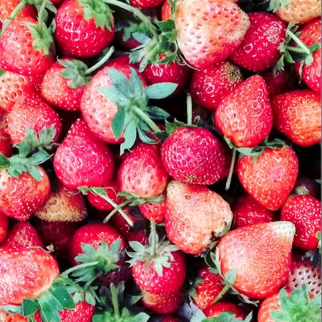 Buah strawberry segar 250gr(khusus pengirimn Medan)