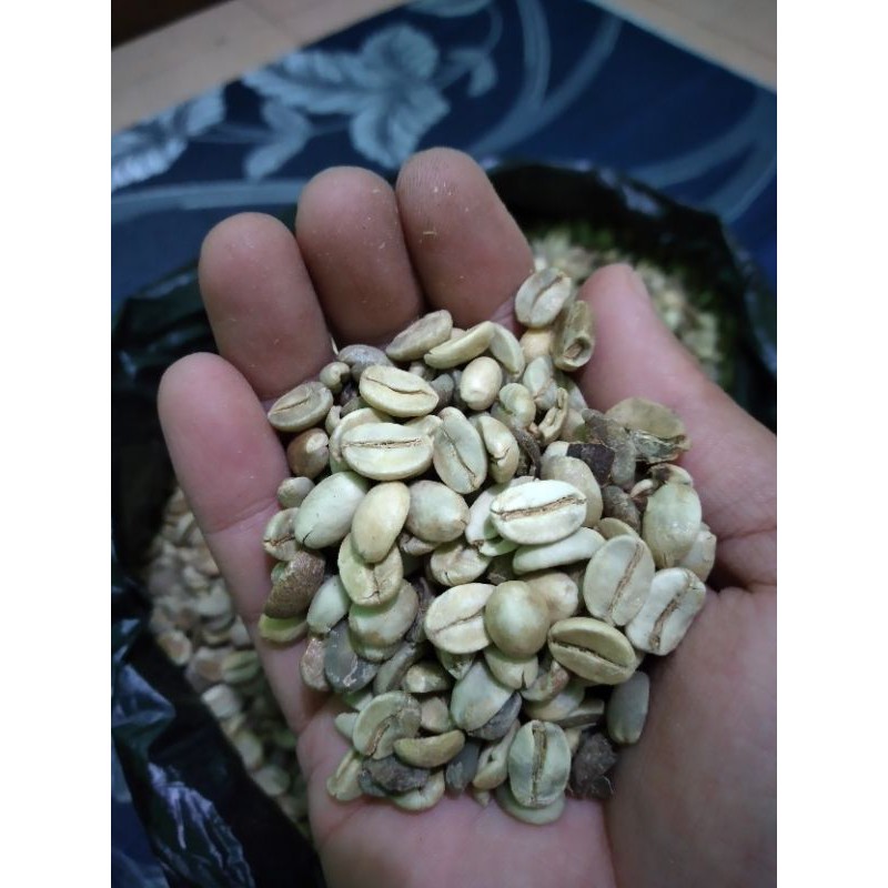 

kopi arabica