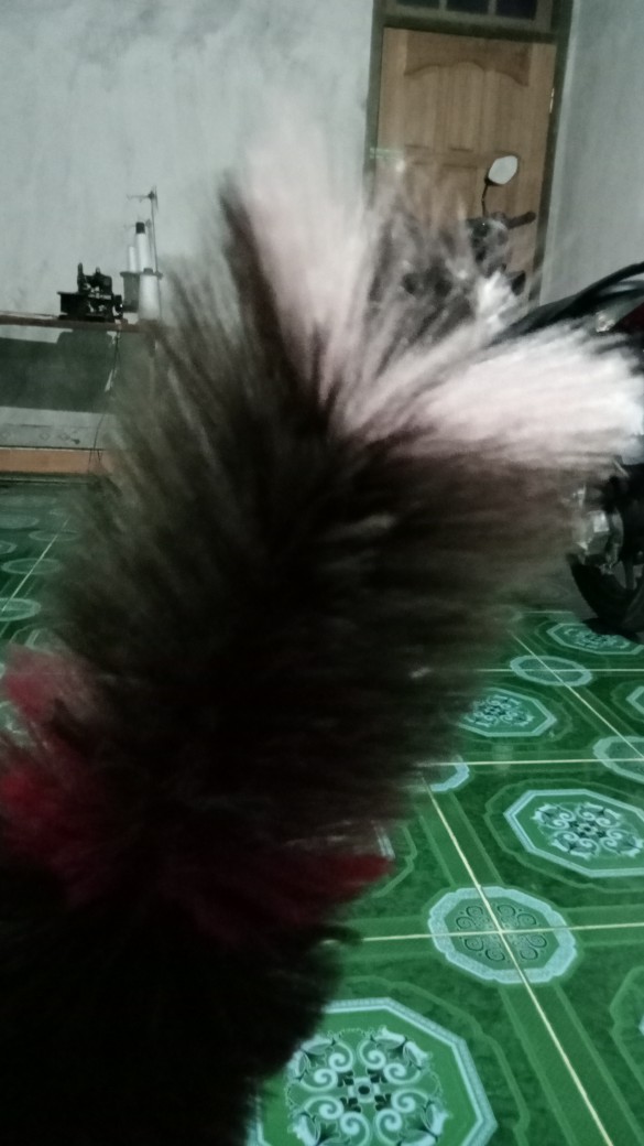 Kemoceng Pembersih Debu Bulu Halus Sintetis Panjang 45 Cm Murah Awet Bagus - Kamoceng Sintes
