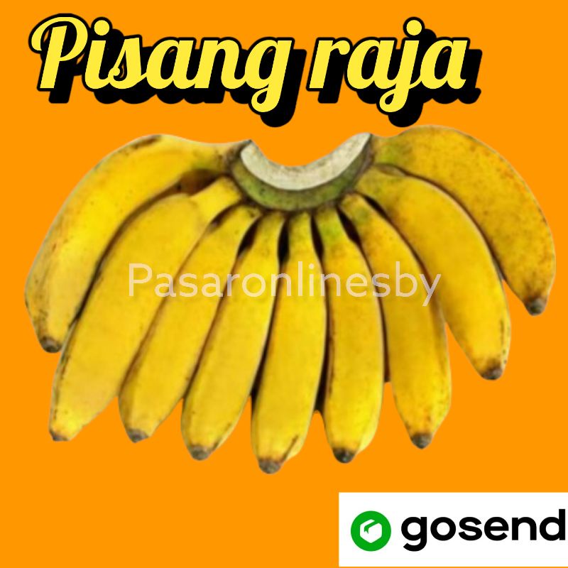 

Pisang Raja Persisir