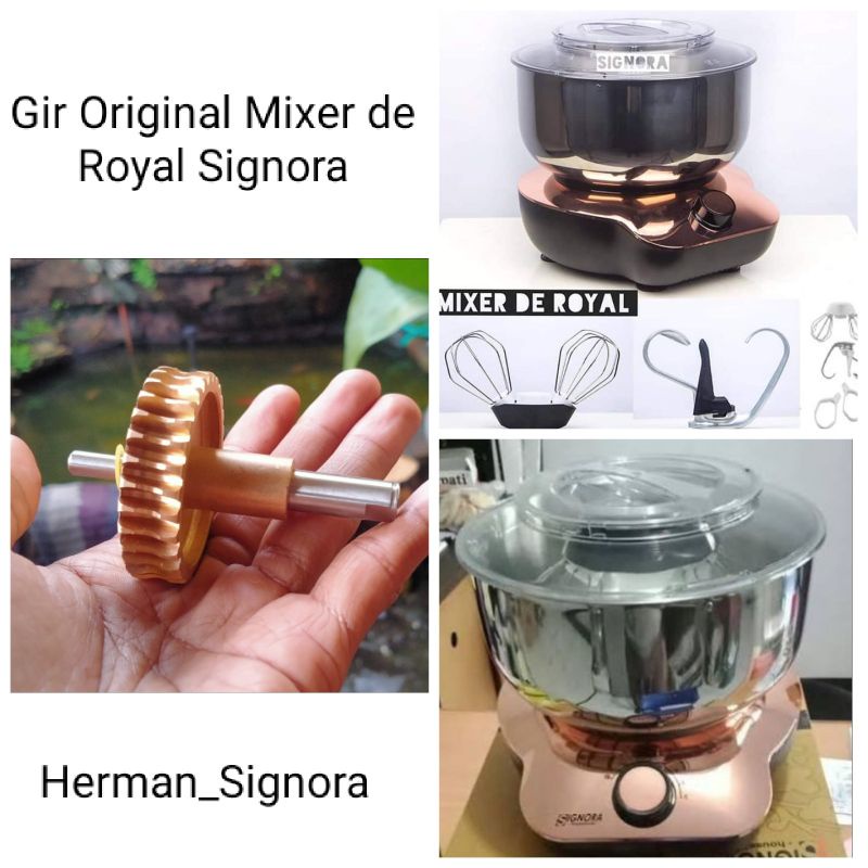 GIR (GIGI MIXER DE ROYAL SIGNORA HOUSEHOlDS)