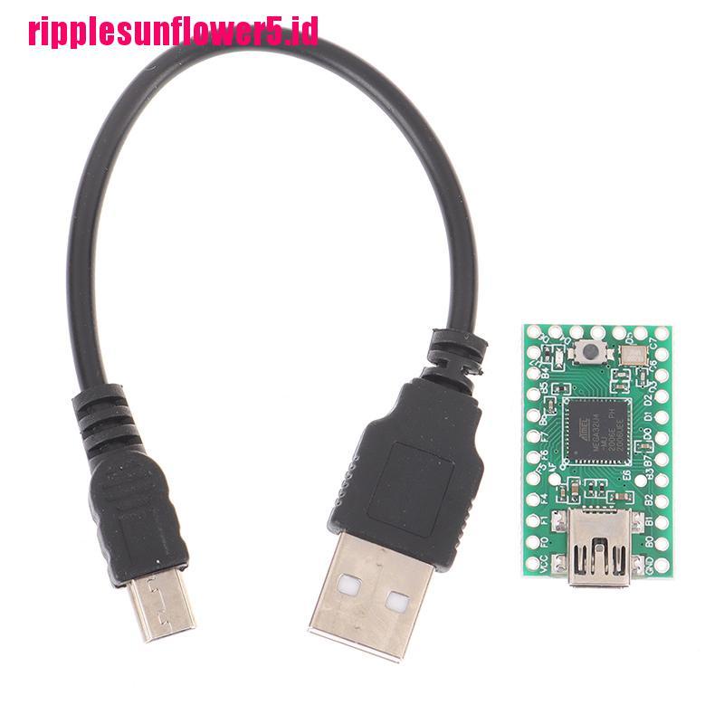 Papan Pengembangan Usb 2.0 AVR ISP U disk