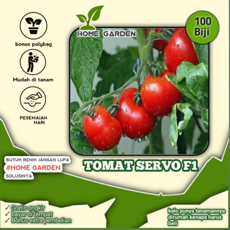 BENIH TOMAT SERVO F1 - kemasan repack 35 seed benih paling murah berkualitas