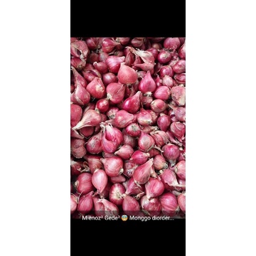 

bawang merah asli brebes