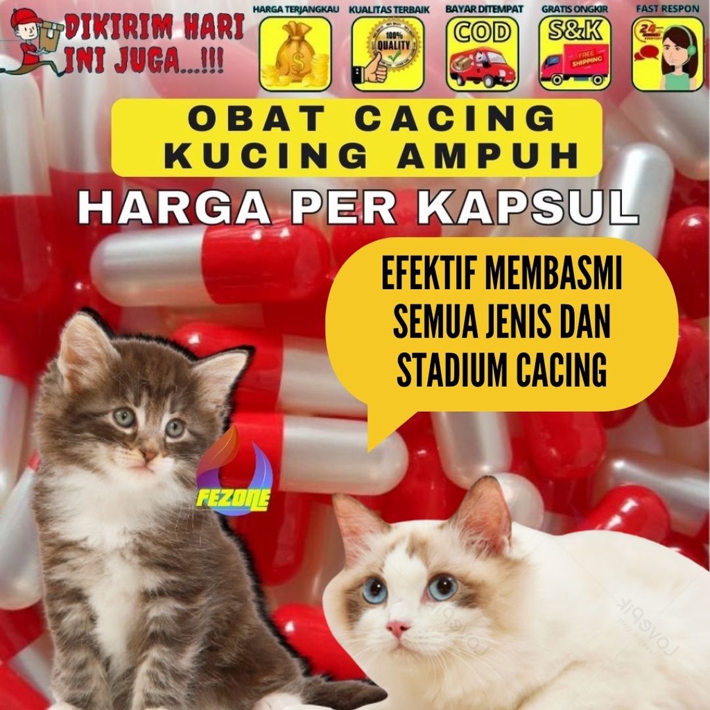 Obat Cacing Kucing &amp; Anjing | Obat Cacing Kapsul Terbukti Ampuh Membasmi Segala Jenis Cacing Aman Untuk Kitten FEZONE