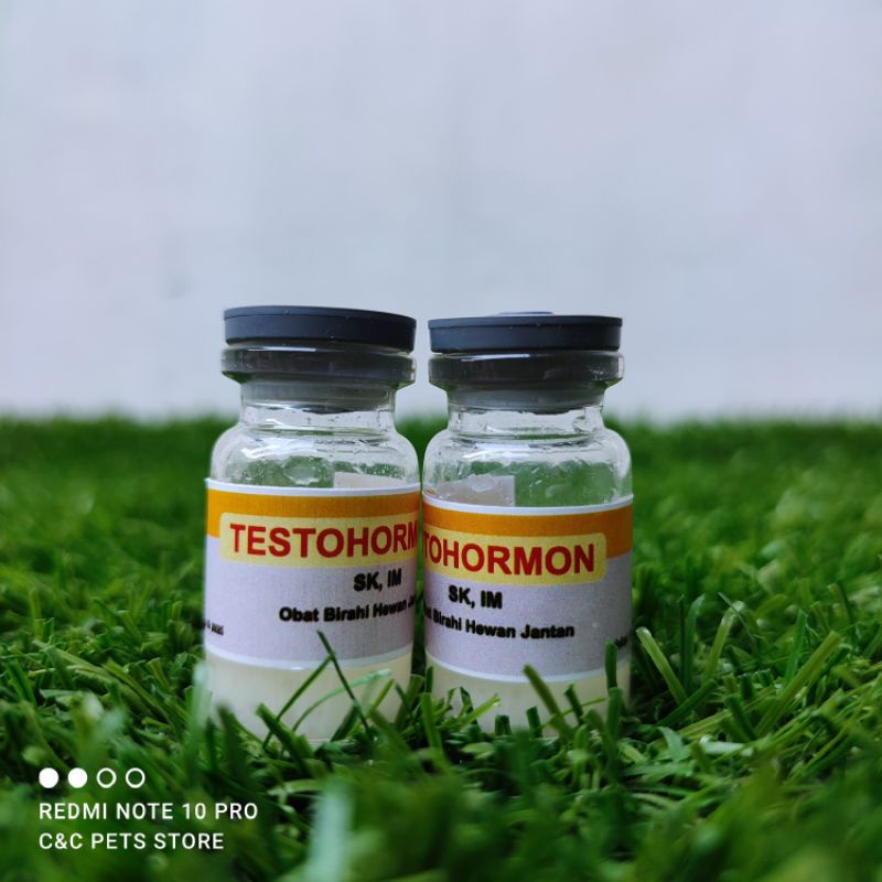 Testohormon Injeksi 5 ml penambah birahi untuk hewan peliharaan (jantan)