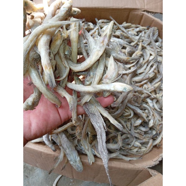 

Ikan Asin Kacangan 1kg