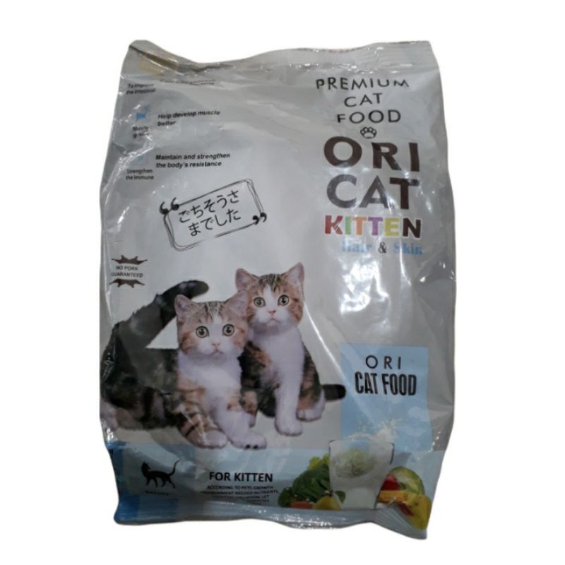 Ori Cat Kitten