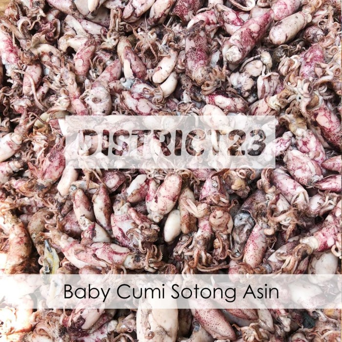 

Baby Cumi Sotong Asin Basah 500 gram