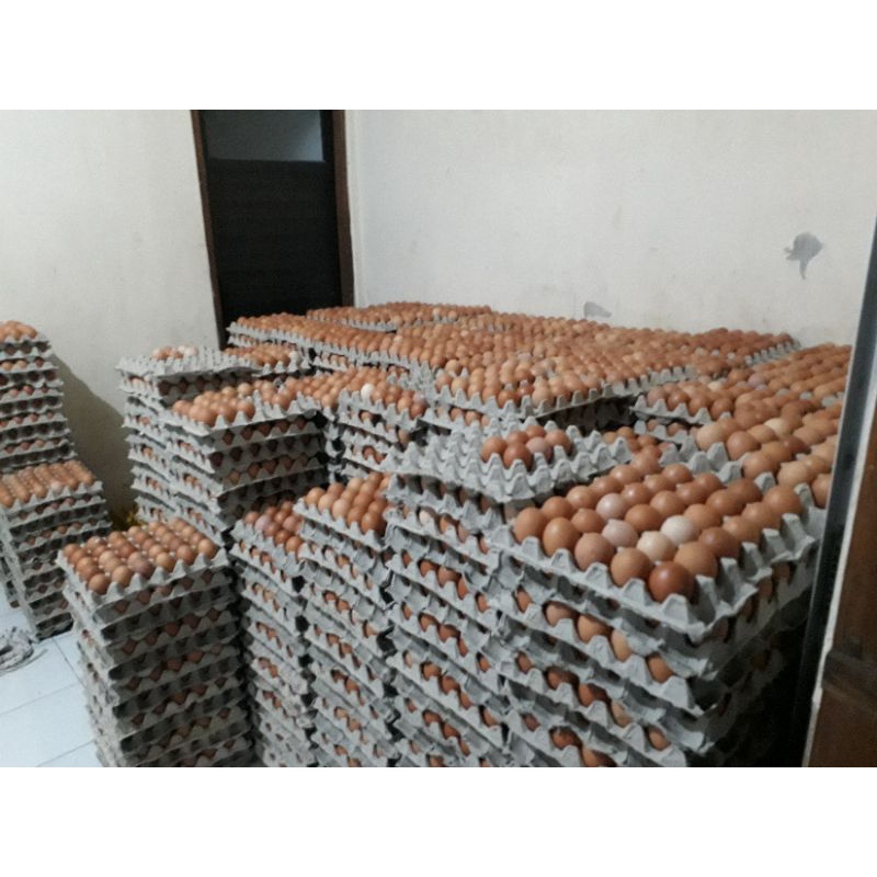 Jual Telur Ayam Tanggung 1 Krat Isi 30 Butir Telur Shopee Indonesia 1399