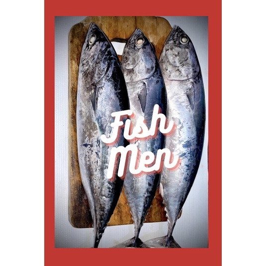 

FISH MEN Tongkol ABU <1kg