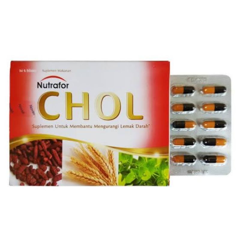 

Nutrafor CHOL/Kapsul HERBAL untuk menjaga LDL dan menurunkan Kolesterol