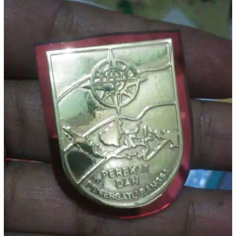 pin perekat pemersatu bangsa