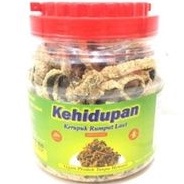 

KERUPUK KEHIDUPAN RUMPUT LAUT