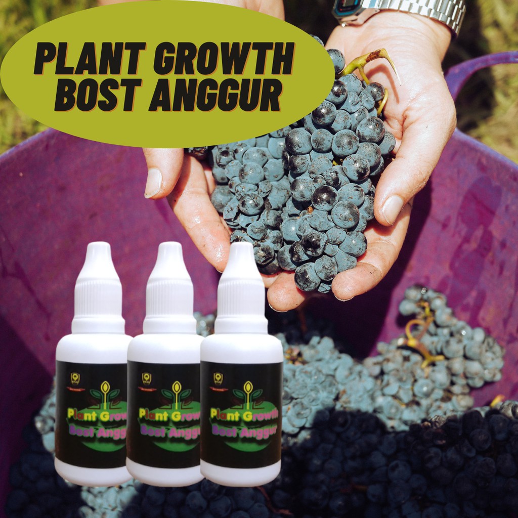 Hormon perangsang buah anggur, Vitamin pohon anggur