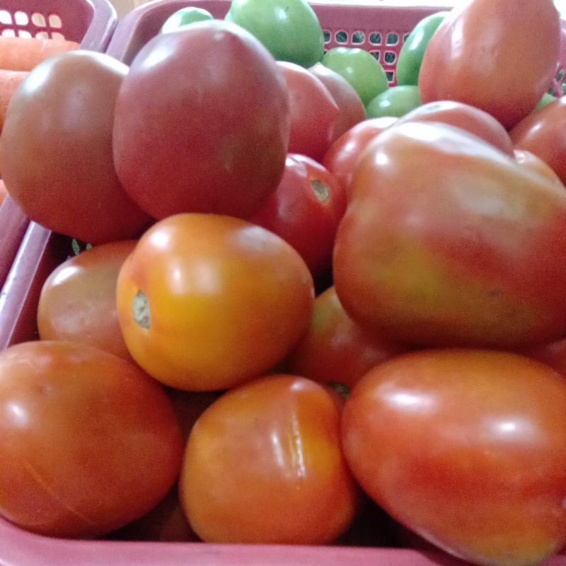 

tomatsegar1kg