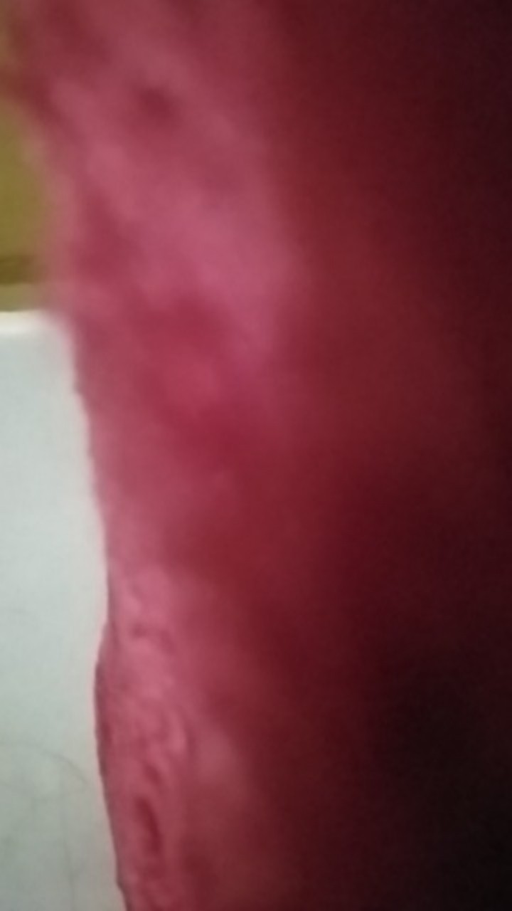 Container Plastik Shinpo Sip 116 Mega Container Cb130