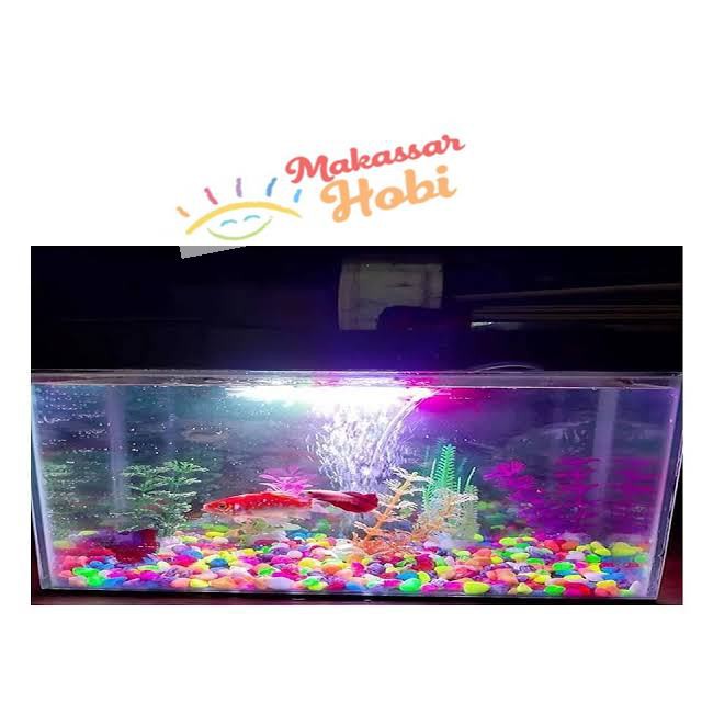 Batu Hias Warna Warni Kerikil Hiasan Aquarium Akuarium Taiwan 500gr  500 gram