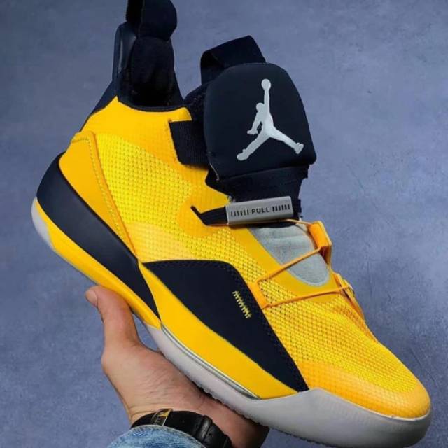 michigan jordan 33