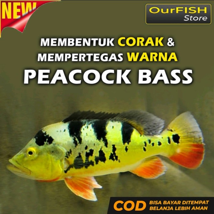 Phoenix Bass - Pelet Premium Ikan Pbass Peacock Bass 60 Gram