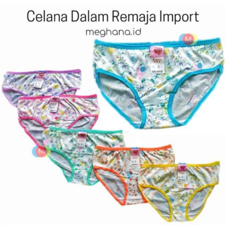 GROSIR 12 PCS Celana Dalam Wanita Motif Ukuran ampe extra jumbo size L ,XL, Merk Ziaqimei