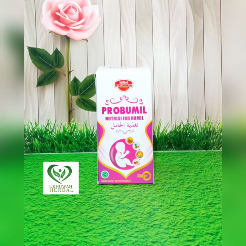 

Madu Probumil/Nutrisi Ibu Hamil/Madu Program Hamil 350ml