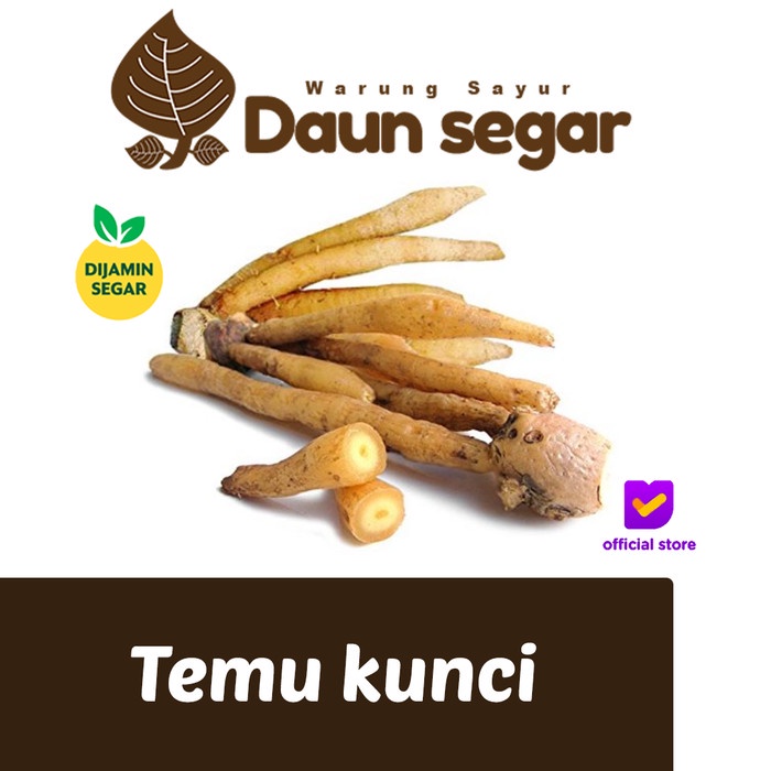 

Temu Kunci Segar Pilihan dijamin 100gram temu kunci Daunsegar daun segar