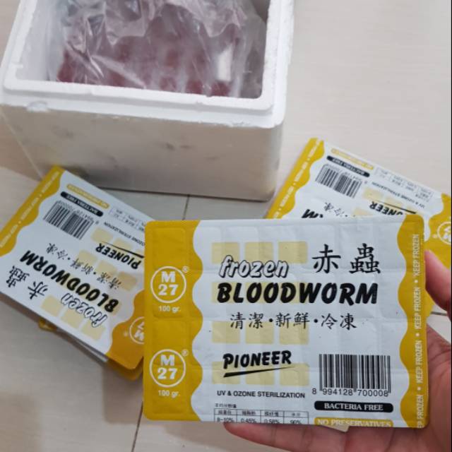 Cacing Beku/Frozen Bloodworm/Cacing Pioneer
