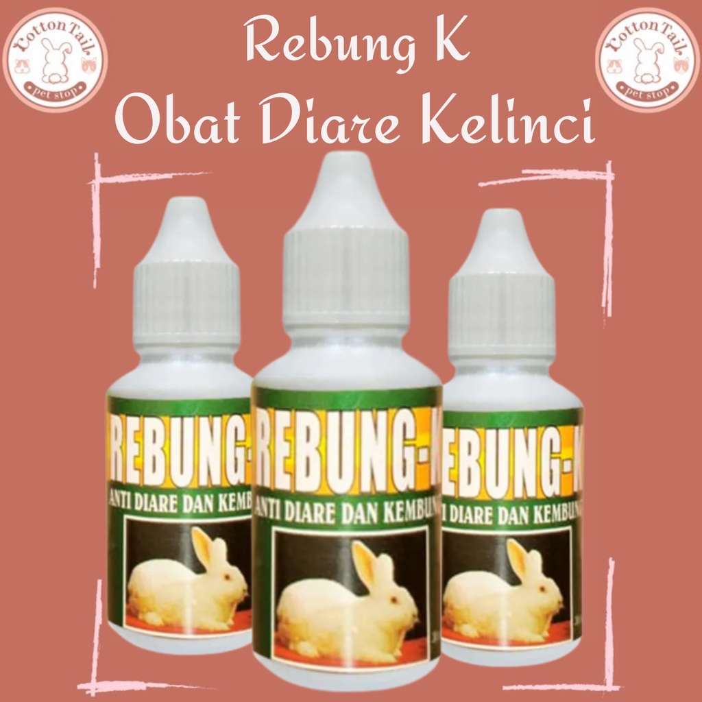 Rebung K 30ml Anti diare dan kembung kelinci