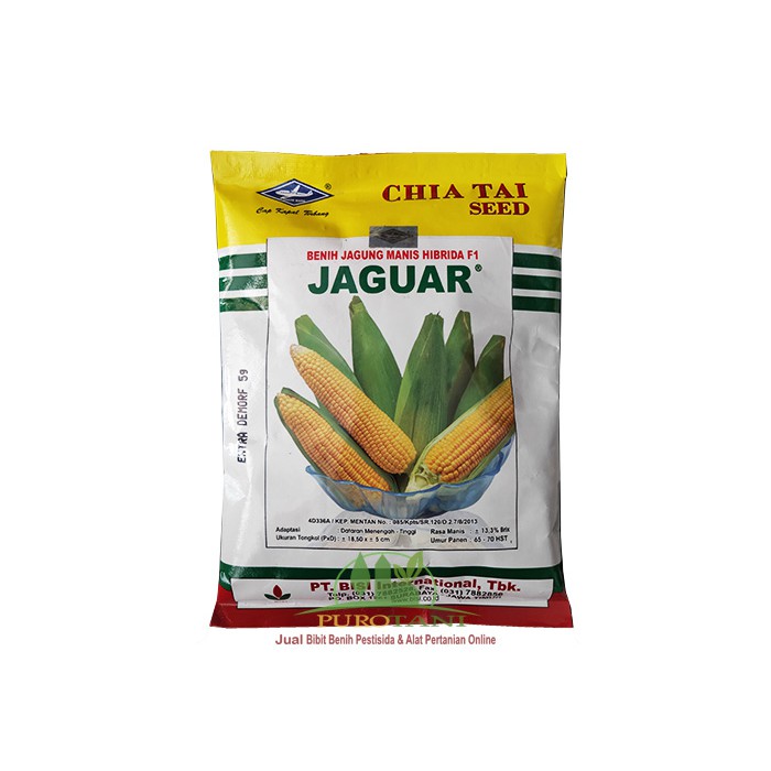 Benih Jagung Manis Hibrida F1 Jaguar BISI kapal terbang